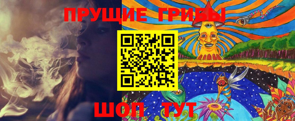 Галлюциногенные грибы Cubensis Тавда