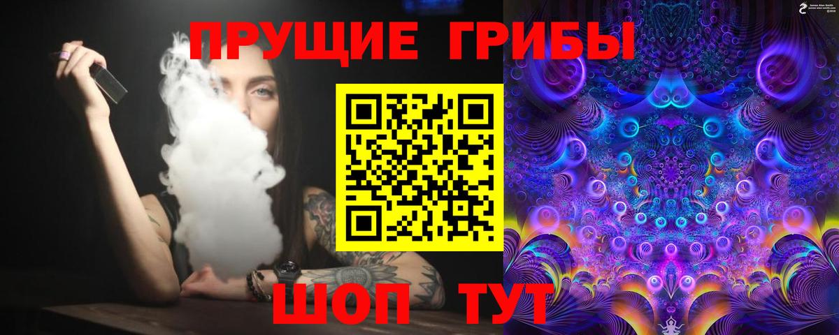 Тавда  Галлюциногенные грибы Psilocybe  Псилоцибиновые грибы Cubensis  Вход с VPN 