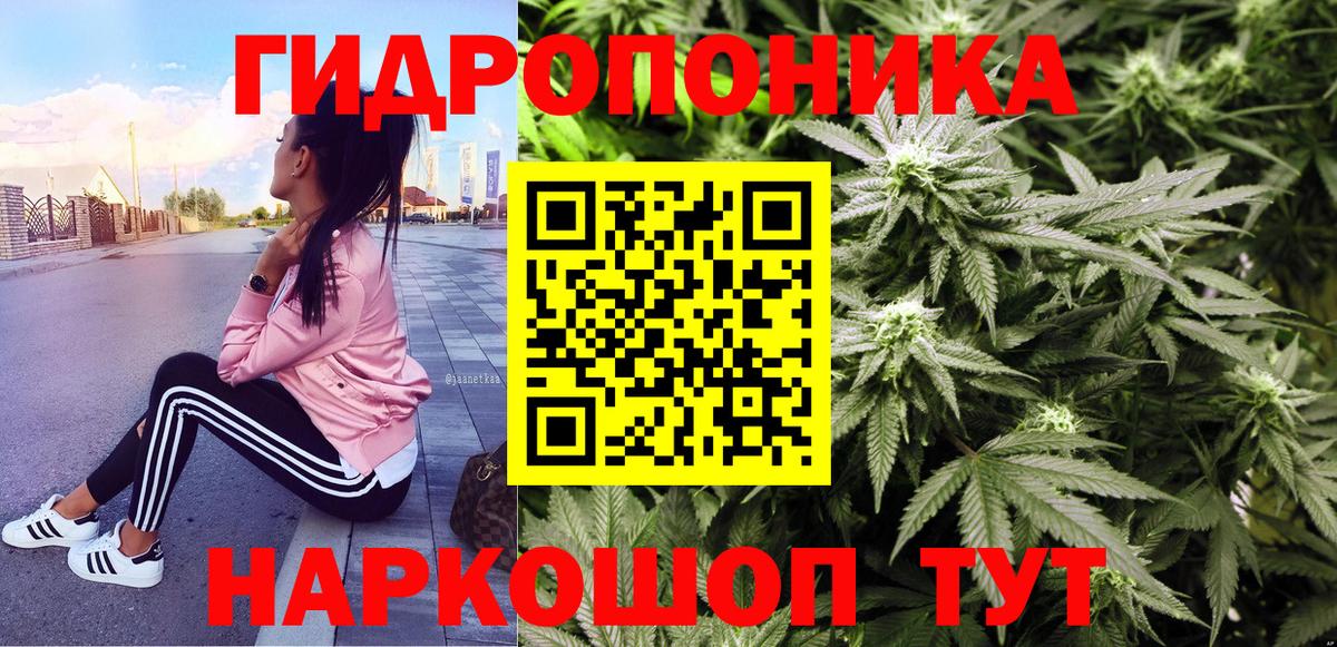 Шишки марихуана семена Тавда